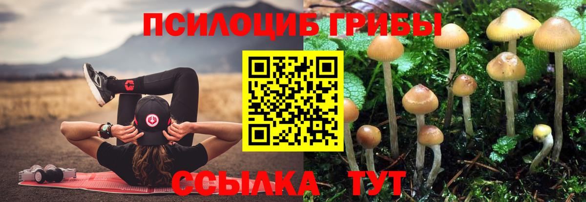 Галлюциногенные грибы прущие грибы Родники